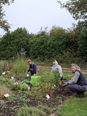 Weekly catch up with garden & propagation