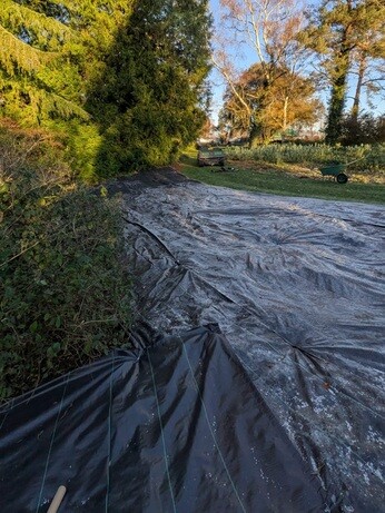 A look back at 2025 with the garden team A look back at 2025 with the garden team