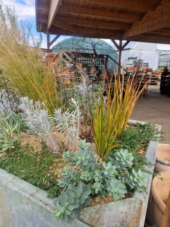 Urban planters experiment