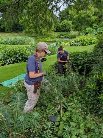 Weekly catch up with garden and propagation