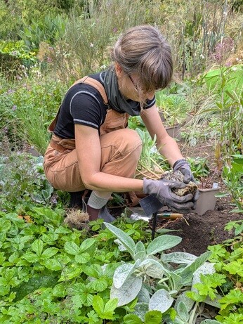 Weekly catch up with garden & propagation
