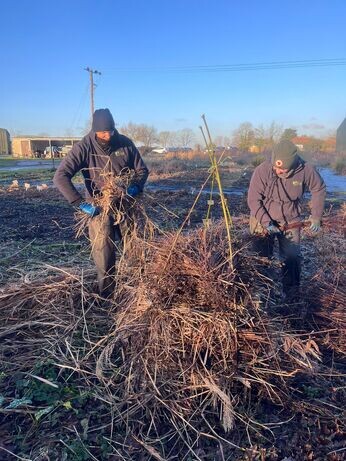 January news from the garden and propagation