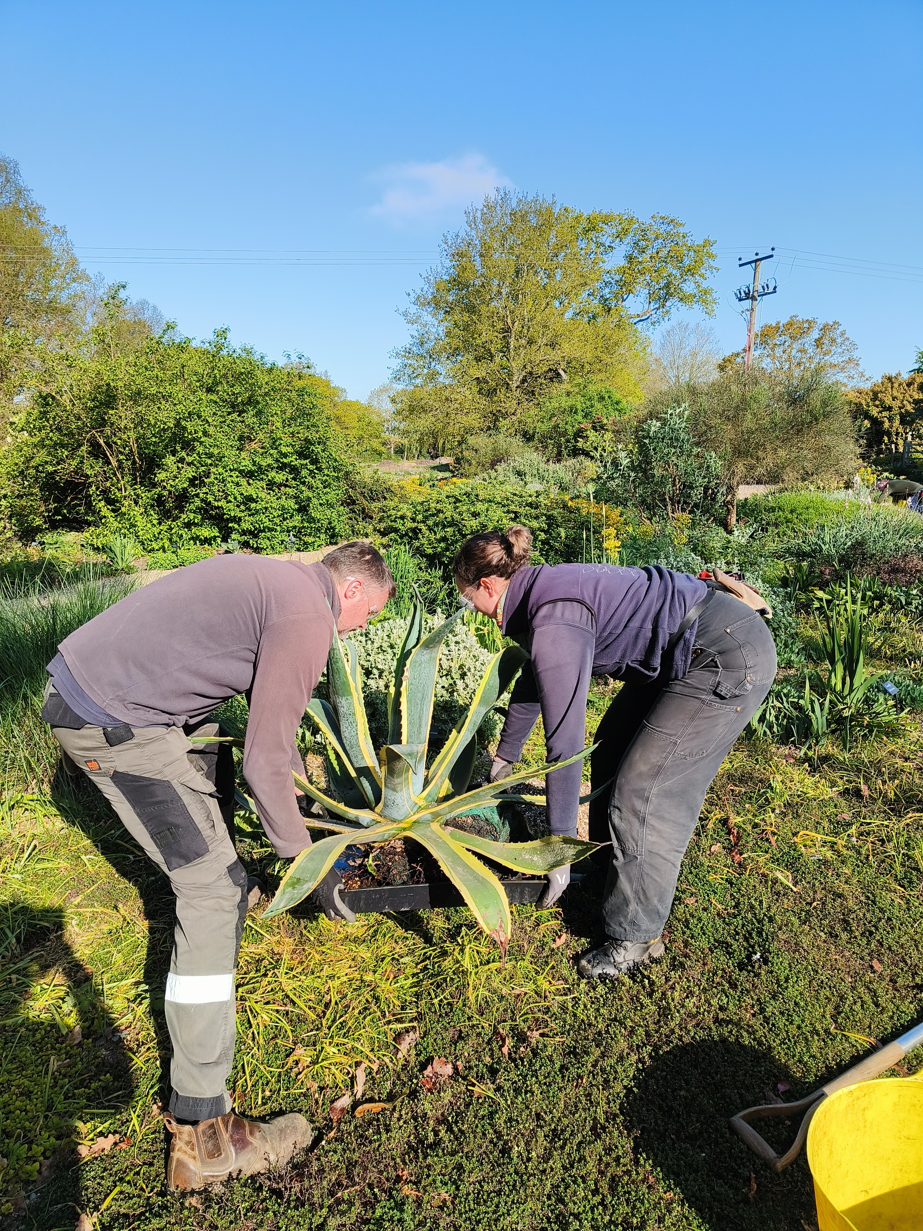 Weekly catch up with garden & propagation