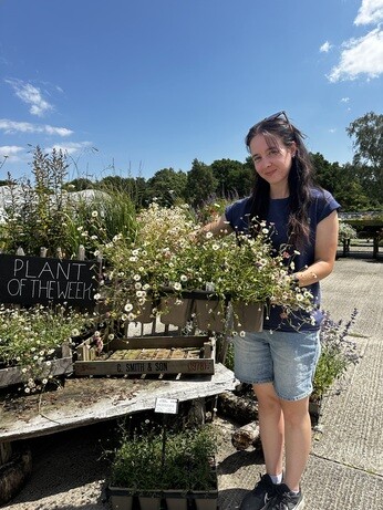 Weekly catch up with garden & propagation Weekly catch up with garden & propagation