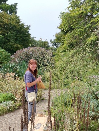 Weekly catch up with garden & propagation