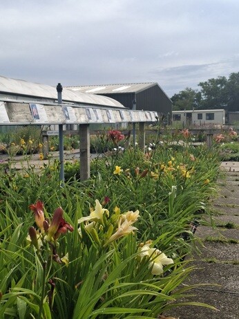 Weekly catch up with garden & propagation