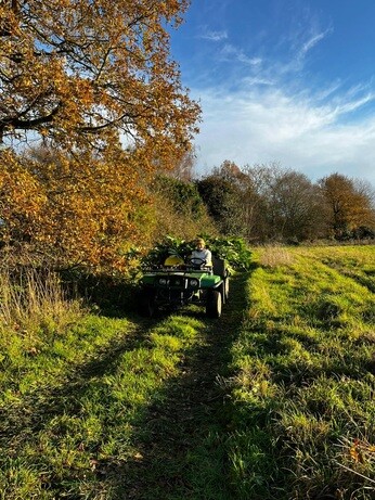 Weekly catch up with garden & propagation
