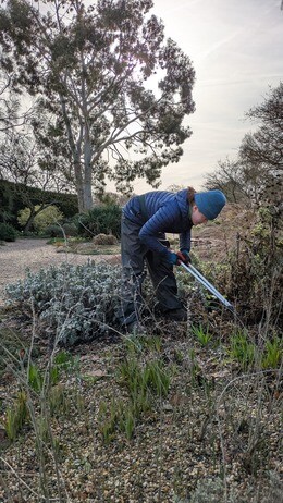 Weekly catch up with garden & propagation Weekly catch up with garden & propagation