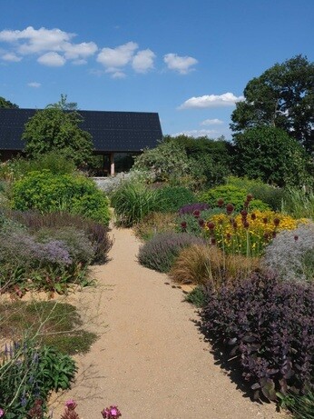Weekly catch up with garden & propagation