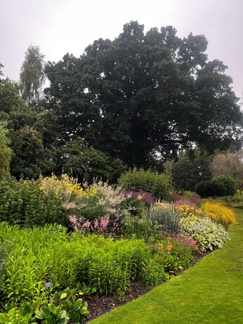 Weekly catch up with garden & propagation