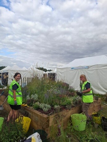 Weekly catch up with garden and propagation