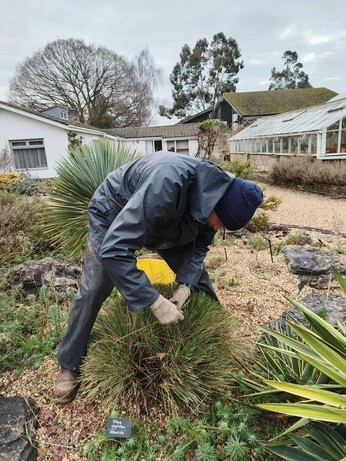 Weekly catch up with garden & propagation