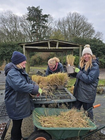Weekly catch up with garden & propagation