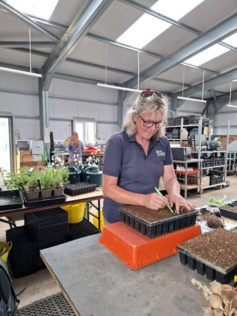 Weekly catch up with garden & propagation