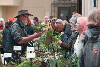 Spring Plant Fairs
