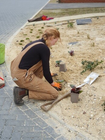 Weekly catch up with gardens & propagation 