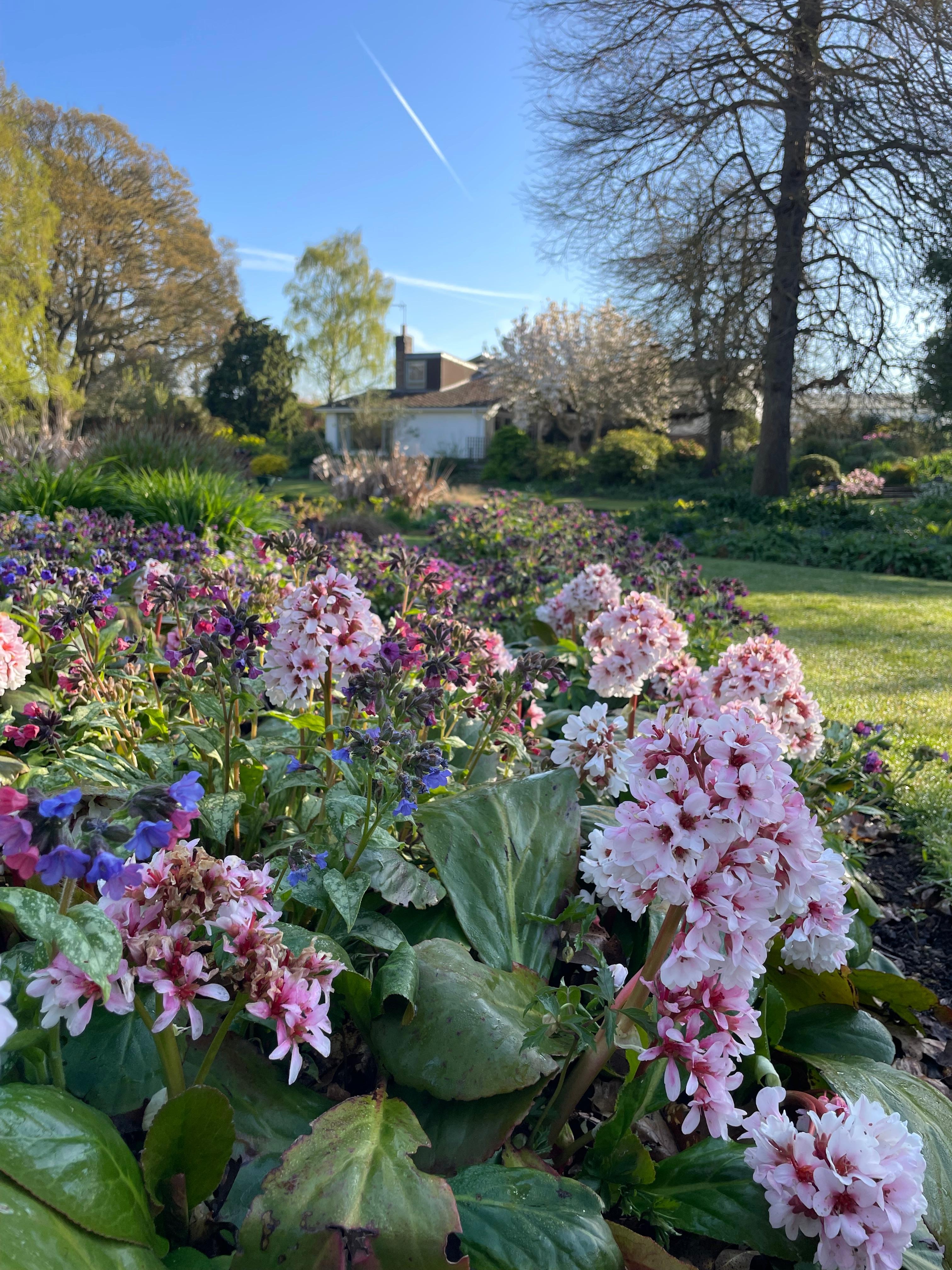 Weekly catch up with garden & propagation