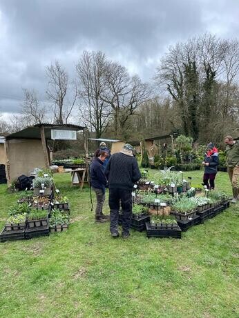 Spring Plant Fairs