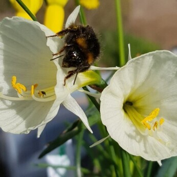 Wild Words from the Ground - February