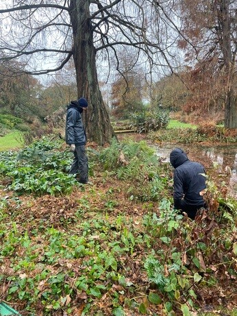 Weekly catch up with garden & propagation