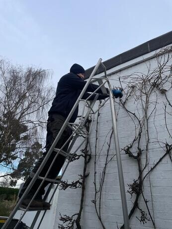 January news from the garden and propagation