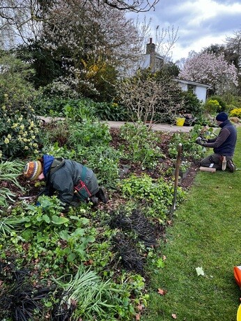 Weekly catch up with garden & propagation Weekly catch up with garden & propagation