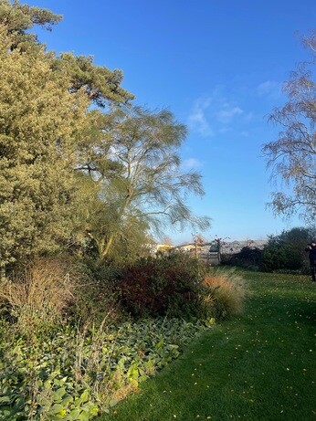 Weekly catch up with garden & propagation