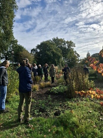 Weekly catch up with garden & propagation Weekly catch up with garden & propagation