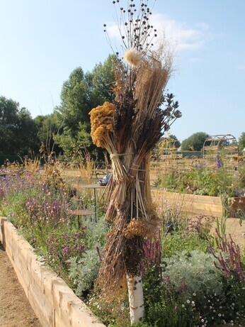 Growing with Many Hands - RHS Sandringham Flower Show 2026 Growing with Many Hands - RHS Sandringham Flower Show 2026