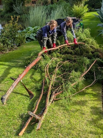 Weekly catch up with garden & propagation