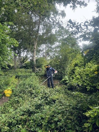 Weekly catch up with garden & propagation