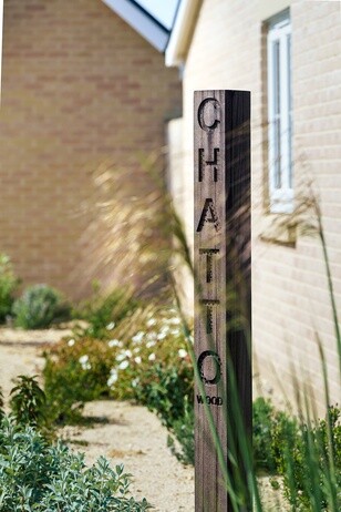 Chattowood and its insects: the first four years