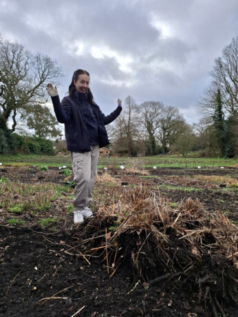 Weekly catch up with garden & propagation Weekly catch up with garden & propagation