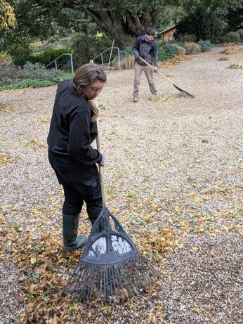 Weekly catch up with garden & propagation Weekly catch up with garden & propagation