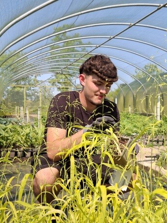 Weekly catch up with gardens & propagation Weekly catch up with gardens & propagation