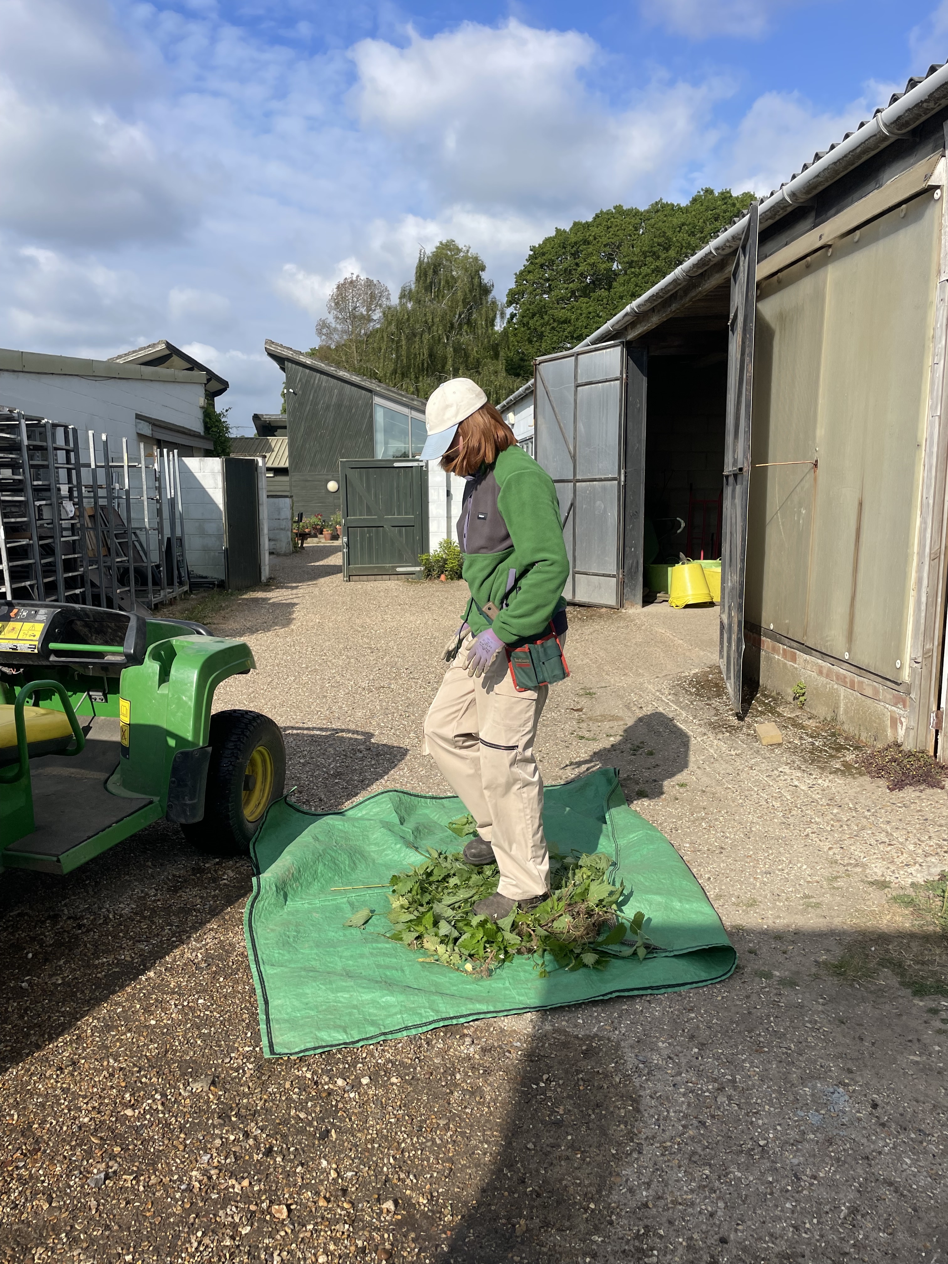 Weekly catch up with garden & propagation