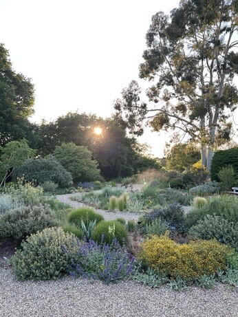 Weekly catch up with garden & propagation