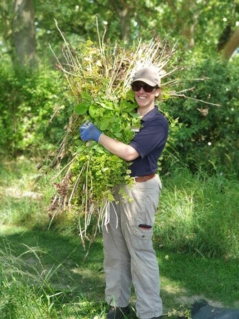 Weekly catch up with garden & propagation