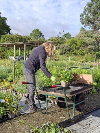 Weekly catch up with garden and propagation