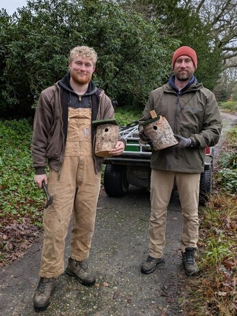 Weekly catch up with garden & propagation