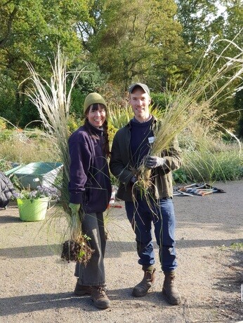 Weekly catch up with garden & propagation Weekly catch up with garden & propagation