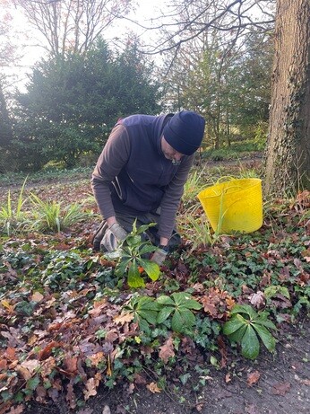 Weekly catch up with garden & propagation Weekly catch up with garden & propagation