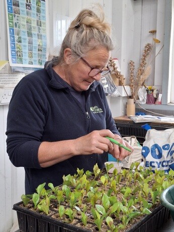 Weekly catch up with garden and propagation