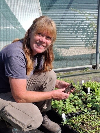 Weekly catch up with garden and propagation Weekly catch up with garden and propagation