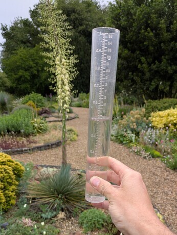 Weekly catch up with garden and propagation