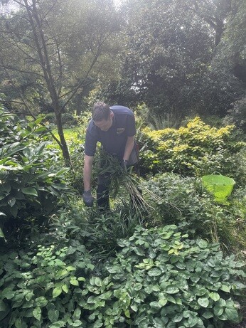 Weekly catch up with garden & propagation