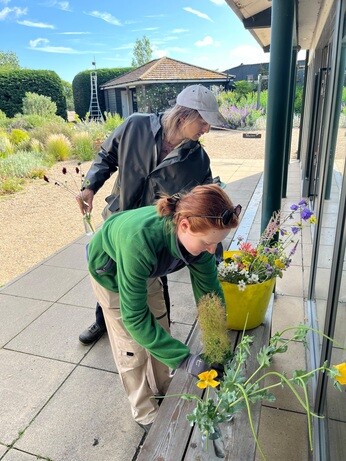 Weekly catch up with garden and propagation