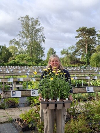 Weekly catch up with garden and propagation