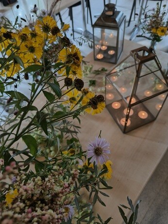 Weekly catch up with garden and propagation