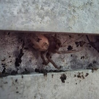 Wild Words from the Ground - February